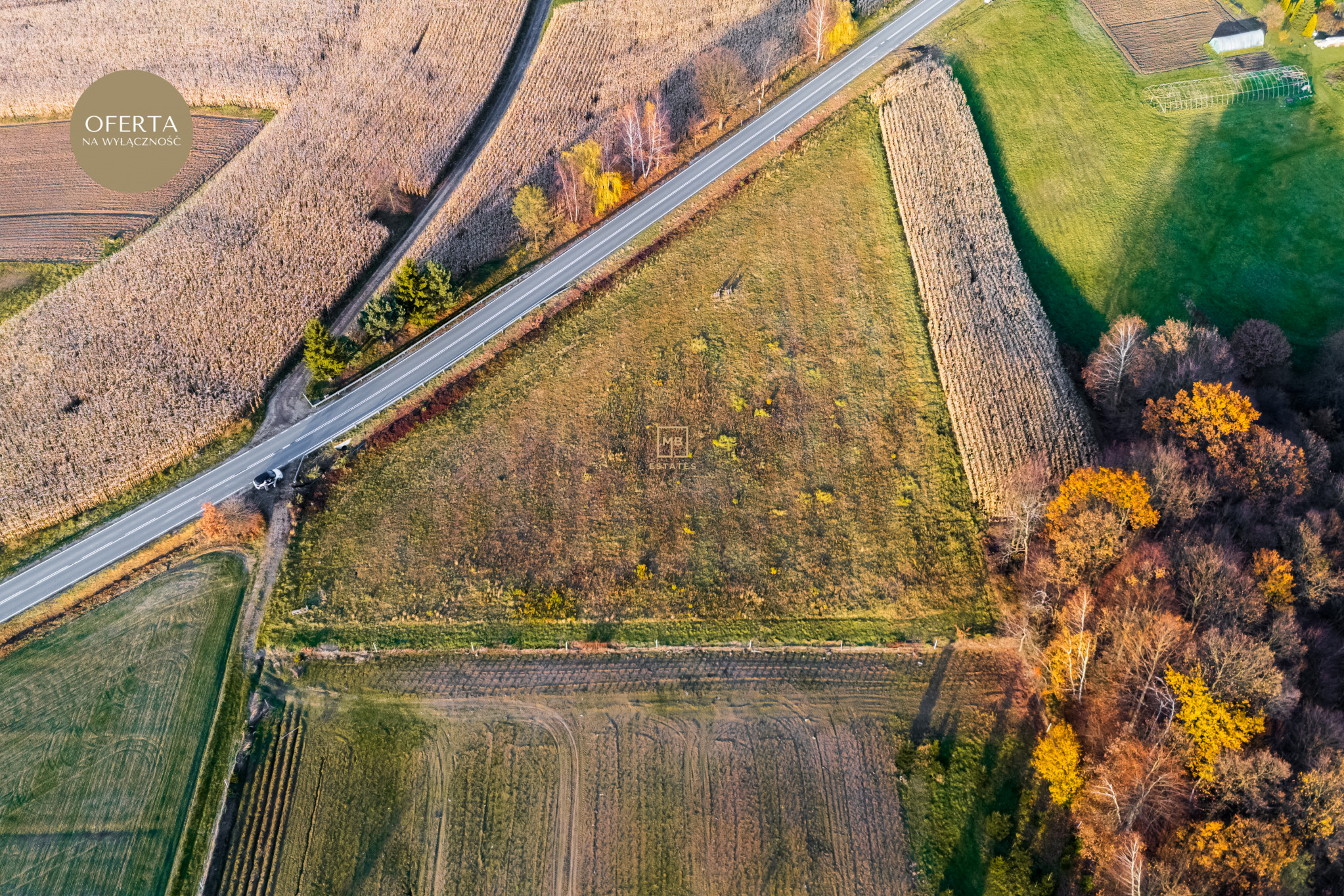 Działka Sprzedaż Trzciana